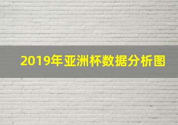 2019年亚洲杯数据分析图