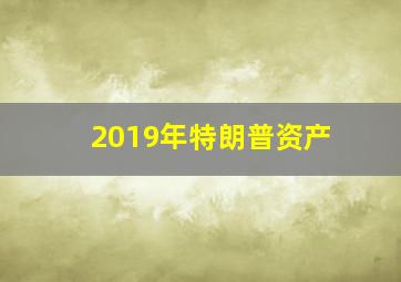 2019年特朗普资产