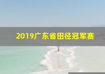 2019广东省田径冠军赛