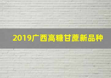 2019广西高糖甘蔗新品种