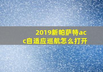 2019新帕萨特acc自适应巡航怎么打开