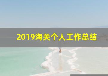 2019海关个人工作总结