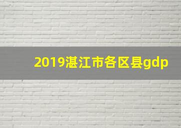 2019湛江市各区县gdp