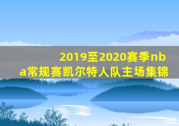 2019至2020赛季nba常规赛凯尔特人队主场集锦