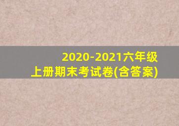 2020-2021六年级上册期末考试卷(含答案)