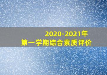 2020-2021年第一学期综合素质评价