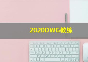 2020DWG教练