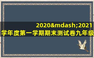 2020—2021学年度第一学期期末测试卷九年级化学