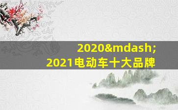 2020—2021电动车十大品牌