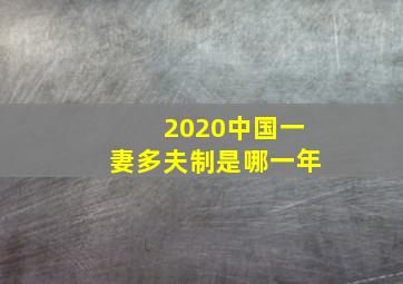 2020中国一妻多夫制是哪一年