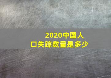 2020中国人口失踪数量是多少