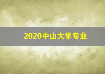 2020中山大学专业