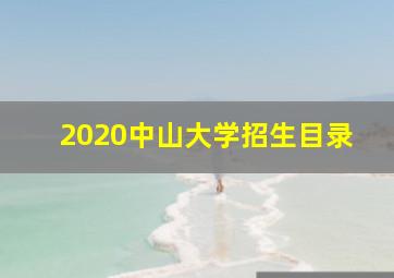 2020中山大学招生目录