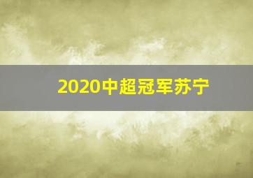 2020中超冠军苏宁