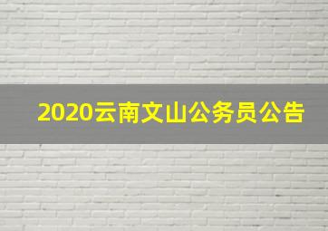 2020云南文山公务员公告