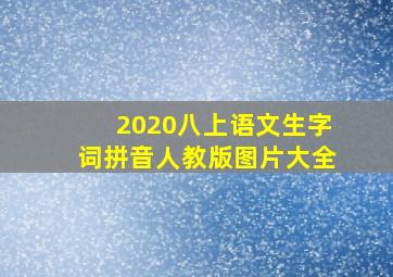 2020八上语文生字词拼音人教版图片大全