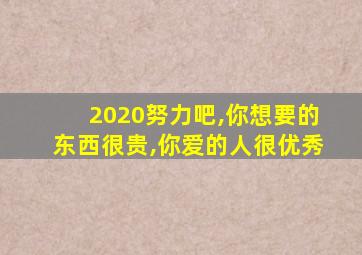 2020努力吧,你想要的东西很贵,你爱的人很优秀