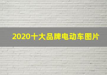 2020十大品牌电动车图片