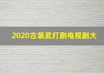 2020古装武打剧电视剧大