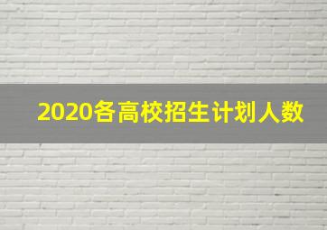 2020各高校招生计划人数