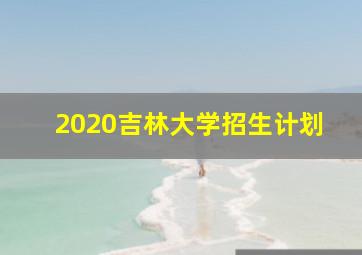 2020吉林大学招生计划