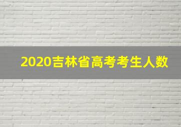 2020吉林省高考考生人数