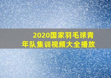 2020国家羽毛球青年队集训视频大全播放