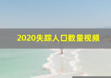 2020失踪人口数量视频