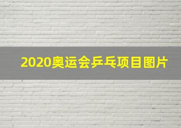 2020奥运会乒乓项目图片