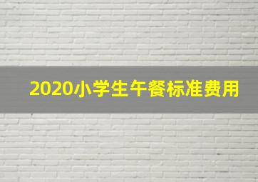 2020小学生午餐标准费用