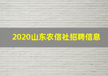 2020山东农信社招聘信息