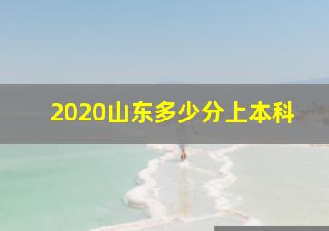 2020山东多少分上本科