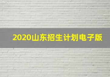 2020山东招生计划电子版