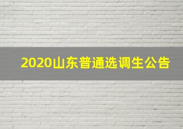 2020山东普通选调生公告