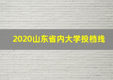 2020山东省内大学投档线