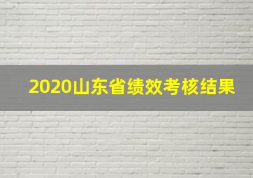 2020山东省绩效考核结果