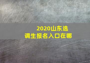 2020山东选调生报名入口在哪