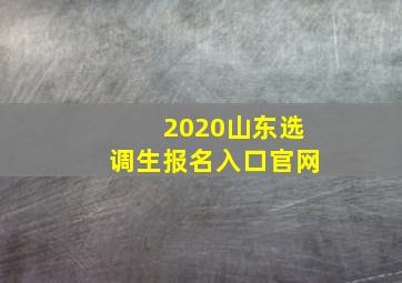 2020山东选调生报名入口官网