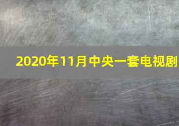 2020年11月中央一套电视剧