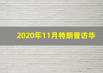 2020年11月特朗普访华