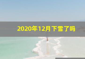 2020年12月下雪了吗