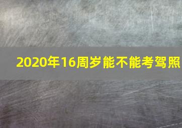 2020年16周岁能不能考驾照