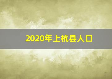 2020年上杭县人口