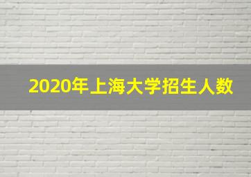 2020年上海大学招生人数