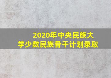 2020年中央民族大学少数民族骨干计划录取