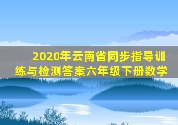 2020年云南省同步指导训练与检测答案六年级下册数学