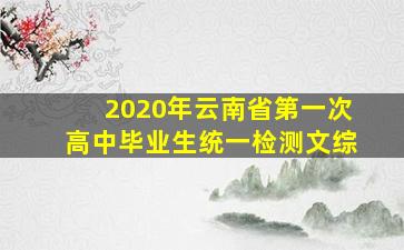 2020年云南省第一次高中毕业生统一检测文综