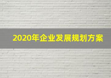 2020年企业发展规划方案