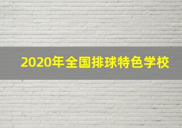 2020年全国排球特色学校