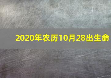 2020年农历10月28出生命